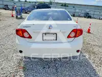 2010 Toyota COROLLA photo