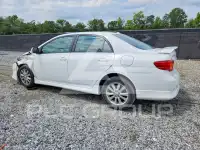 2010 Toyota COROLLA фото