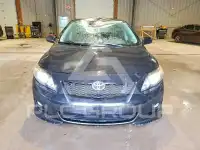 2010 Toyota COROLLA photo