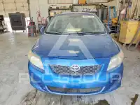 2010 Toyota COROLLA photo