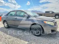 2010 Toyota COROLLA фото