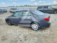 2010 Toyota COROLLA фото