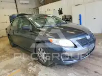 2010 Toyota COROLLA фото
