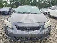 2010 Toyota COROLLA фото