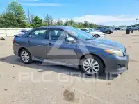 2010 Toyota COROLLA фото