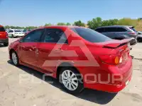 2010 Toyota COROLLA фото