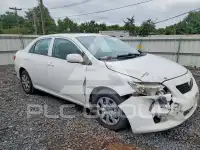 2010 Toyota COROLLA фото