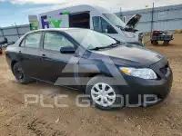 2010 Toyota COROLLA фото