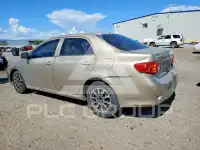 2010 Toyota COROLLA фото