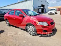 2010 Toyota COROLLA фото