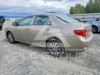 2010 Toyota COROLLA фото