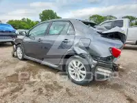 2010 Toyota COROLLA фото