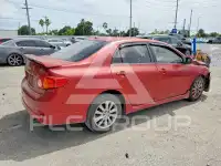 2010 Toyota COROLLA фото