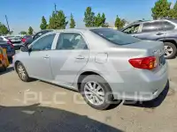 2010 Toyota COROLLA фото