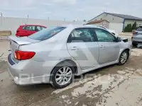 2010 Toyota COROLLA фото