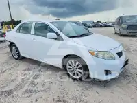 2010 Toyota COROLLA фото