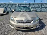 2010 Toyota COROLLA фото