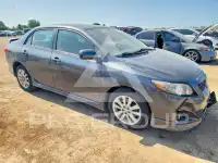 2010 Toyota COROLLA фото