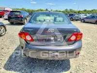 2010 Toyota COROLLA photo