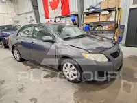 2010 Toyota COROLLA фото