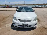 2010 Toyota COROLLA фото