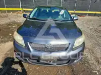 2010 Toyota COROLLA photo