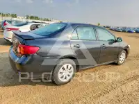 2010 Toyota COROLLA фото