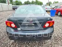 2010 Toyota COROLLA фото