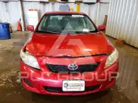 2010 Toyota COROLLA фото