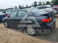 2010 Toyota COROLLA photo