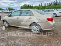 2010 Toyota COROLLA photo