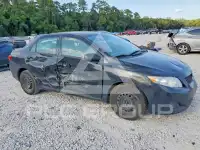 2010 Toyota COROLLA photo