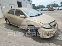 2010 Toyota COROLLA photo
