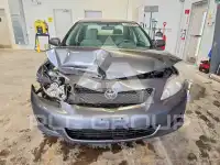 2010 Toyota COROLLA фото
