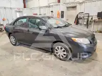 2010 Toyota COROLLA фото