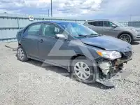 2010 Toyota COROLLA photo