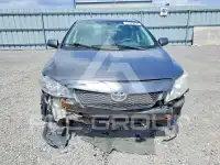 2010 Toyota COROLLA photo