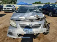 2010 Toyota COROLLA photo