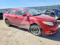 2010 Toyota COROLLA фото