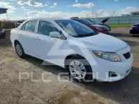 2010 Toyota COROLLA фото