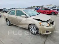 2010 Toyota COROLLA фото