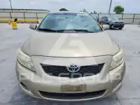 2010 Toyota COROLLA photo