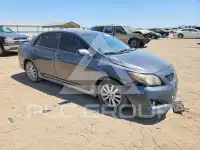 2010 Toyota COROLLA photo