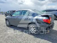 2010 Toyota COROLLA photo