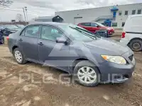 2010 Toyota COROLLA фото
