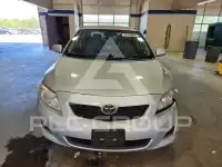 2010 Toyota COROLLA фото