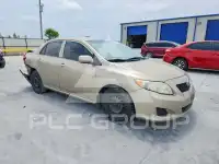 2010 Toyota COROLLA photo