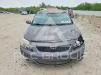 2010 Toyota COROLLA фото