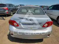 2010 Toyota COROLLA фото