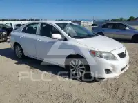 2010 Toyota COROLLA фото